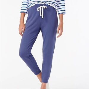 J. Crew Blue Cloud Fleece Drawstring Vintage Jogger Sweatpants Size Medium